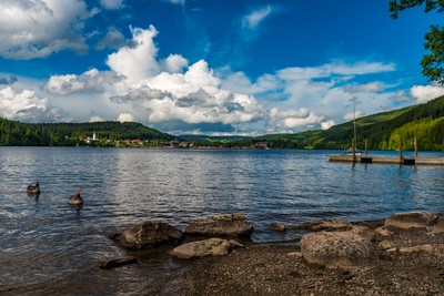 Titisee-Rundweg