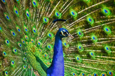 Tierpark