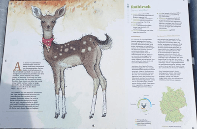 Wildtierpfad Häusern