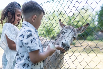 Wildpark