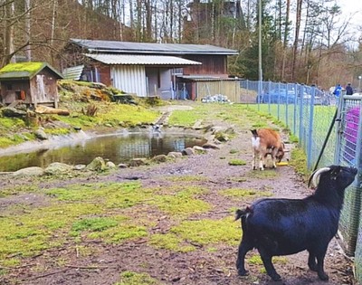 Kleintierzoo Ravensburg (fiktiver Eintrag)