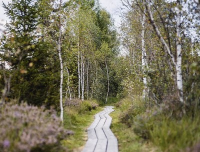 Erlebnispfad Burgermoos (fiktiver Eintrag)