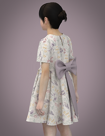 Paris dress.png