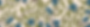 Zoofari 2026 background pattern.png