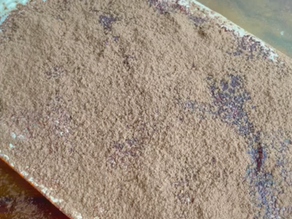 Vegan Tiramisu