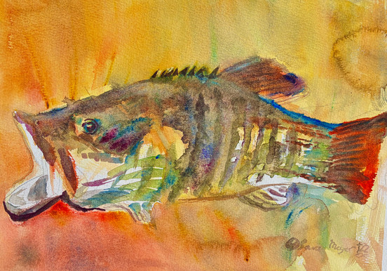 Watercolor fish