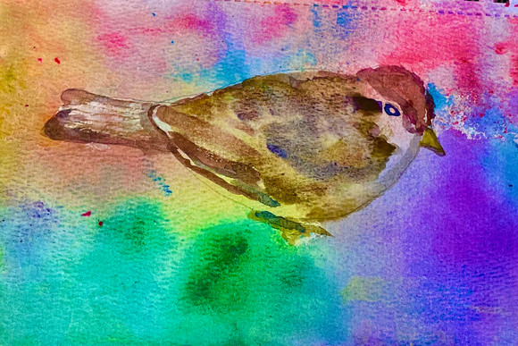 Watercolor bird