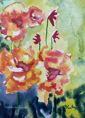 Orange and yellow hibiscus flowers