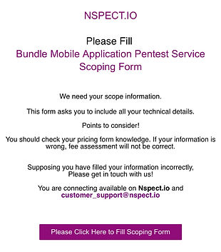 nspect-image-scoping-form
