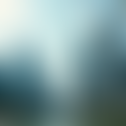 Investing in Singapore: A Beginner's Guide