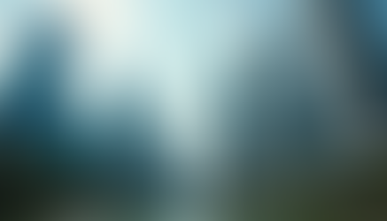 Investing in Singapore: A Beginner's Guide