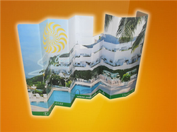 protetor carro 2.jpg