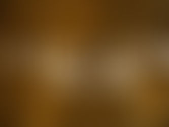 Indomitable: The X-Factor