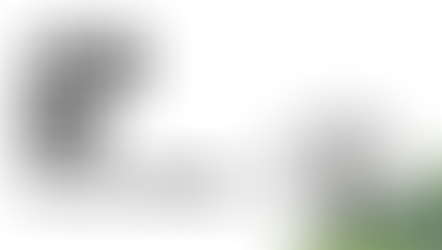 Jesus and Foes, Fans & Followers