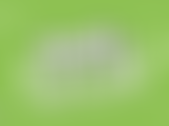 Fresh Start: Finding Your Sweet Spot