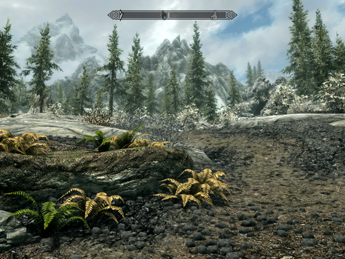 Skyrim Special Edition
