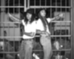 Blog Posts _ SIngle (1).png