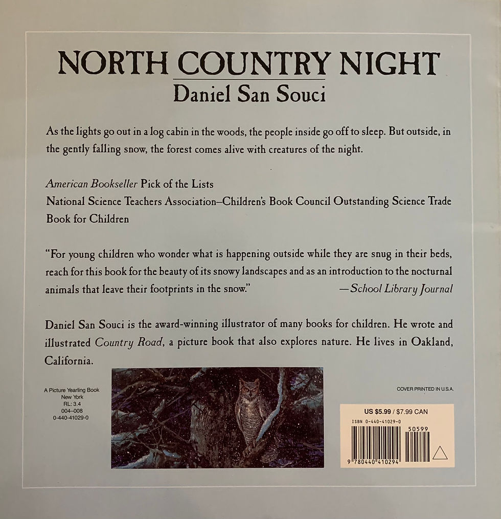 Thumbnail: North Country Night by Daniel San Souci