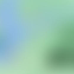 إلى هذه الدولة سيذهب الروس بعد أوكرانيا!