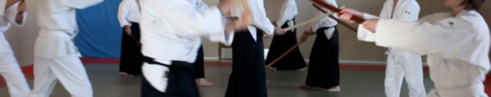 Aikido-33.jpg