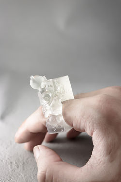 Bear,Bear … and Bear "Transparent SQ