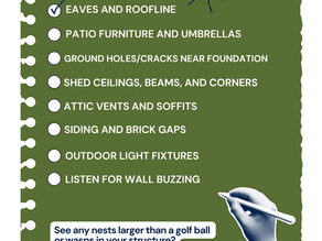 Wasp and Nest Home Inspection Checklist
