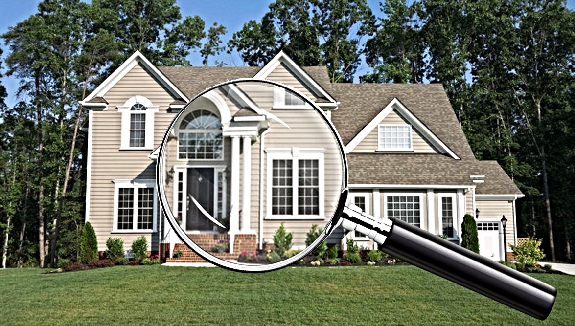 BugZone Pest Control