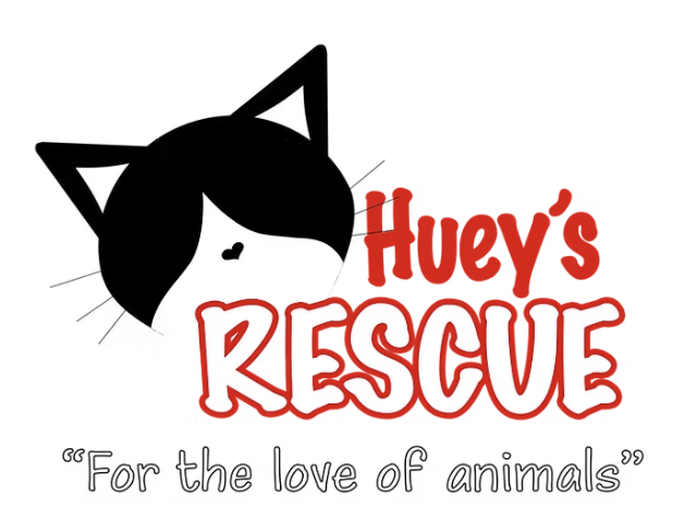 Writer: Huey's Rescue