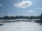 IMG_20210827_145636.jpg