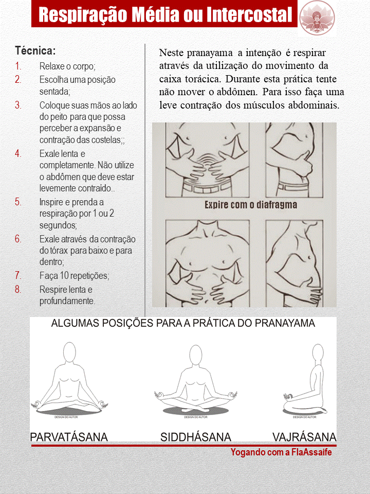 Pranayama Resp. Intercostal.GIF