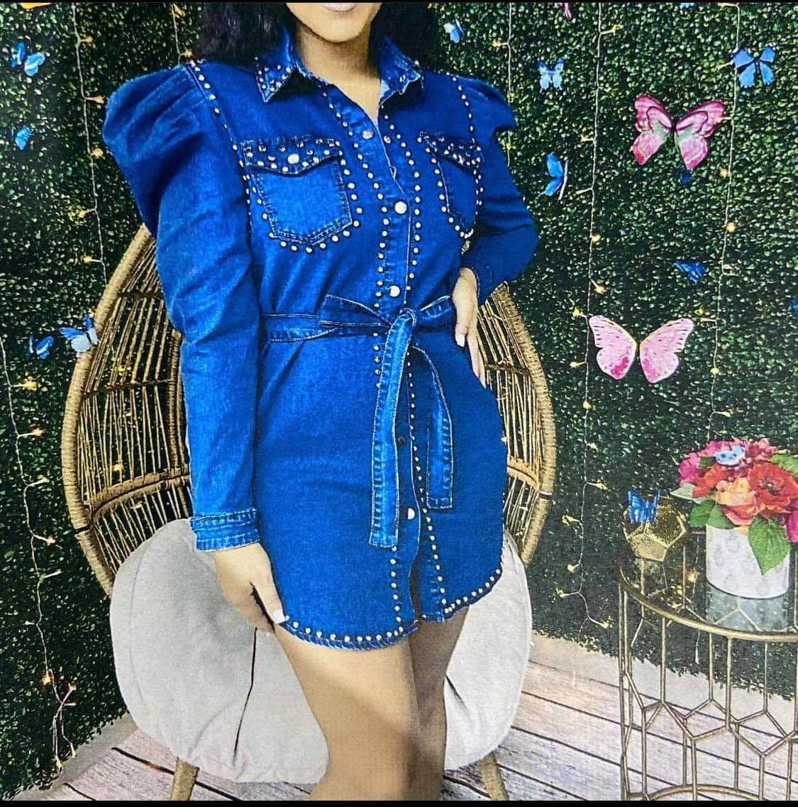 Long Sleeve Denim Dress