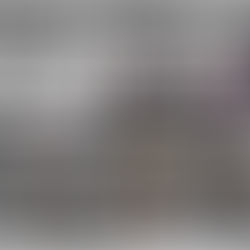 わっしょい新党 チーム紹介