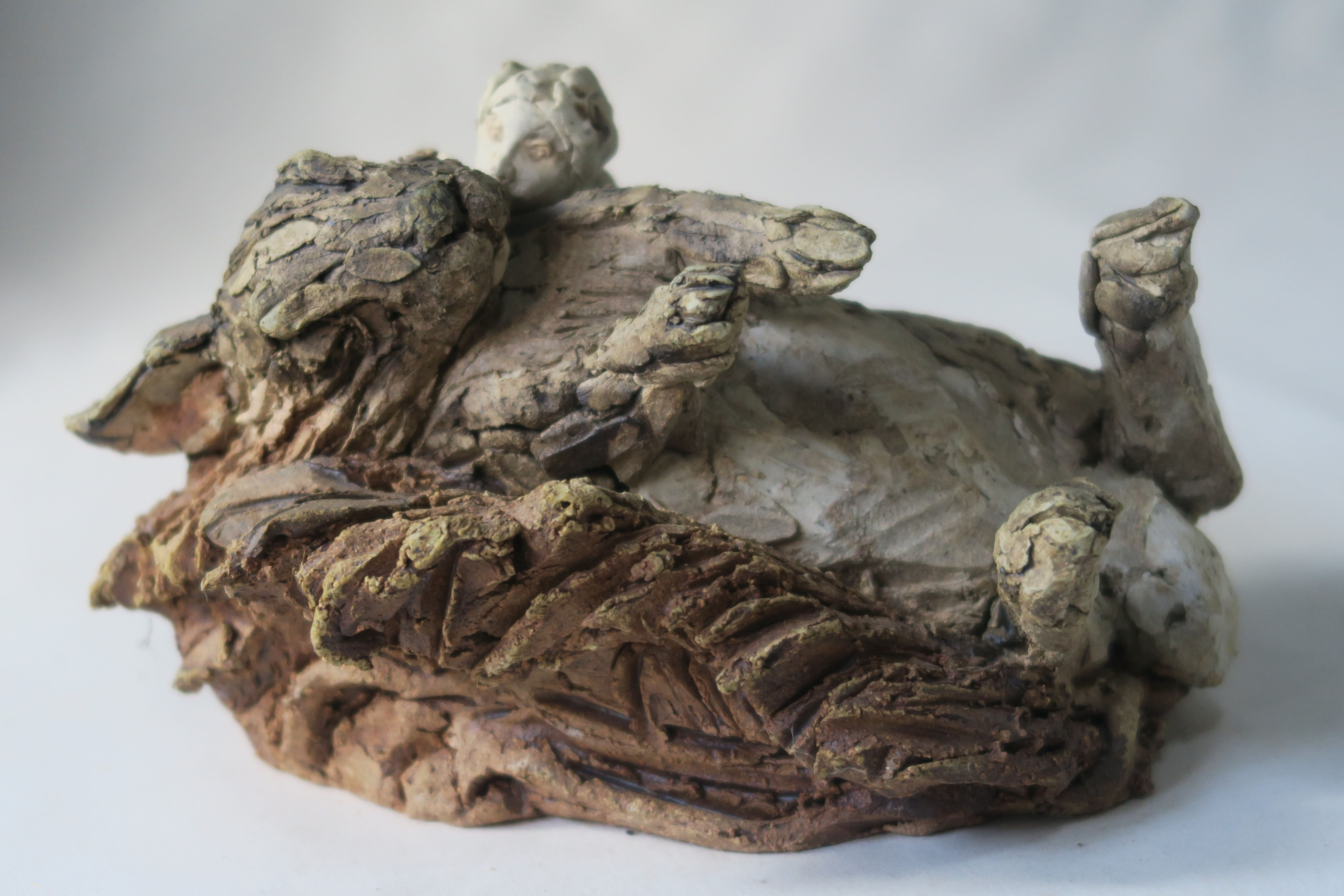 Fairy and Sleeping Rabbit