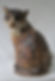Pruska Cat (Large)