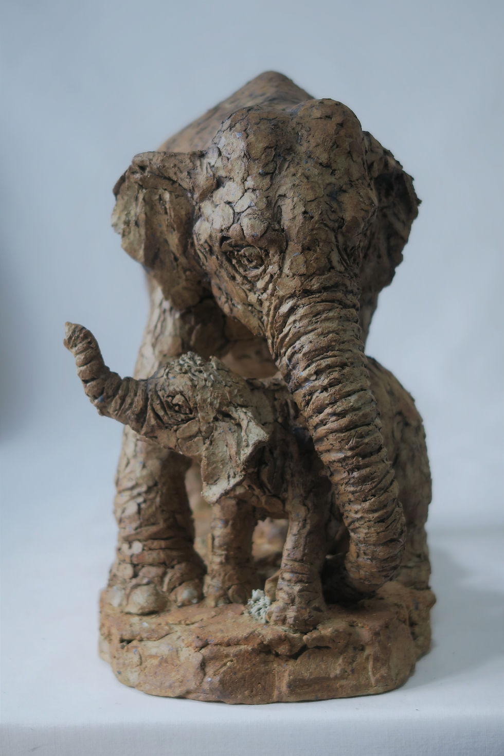 Thumbnail: Elephant and Baby