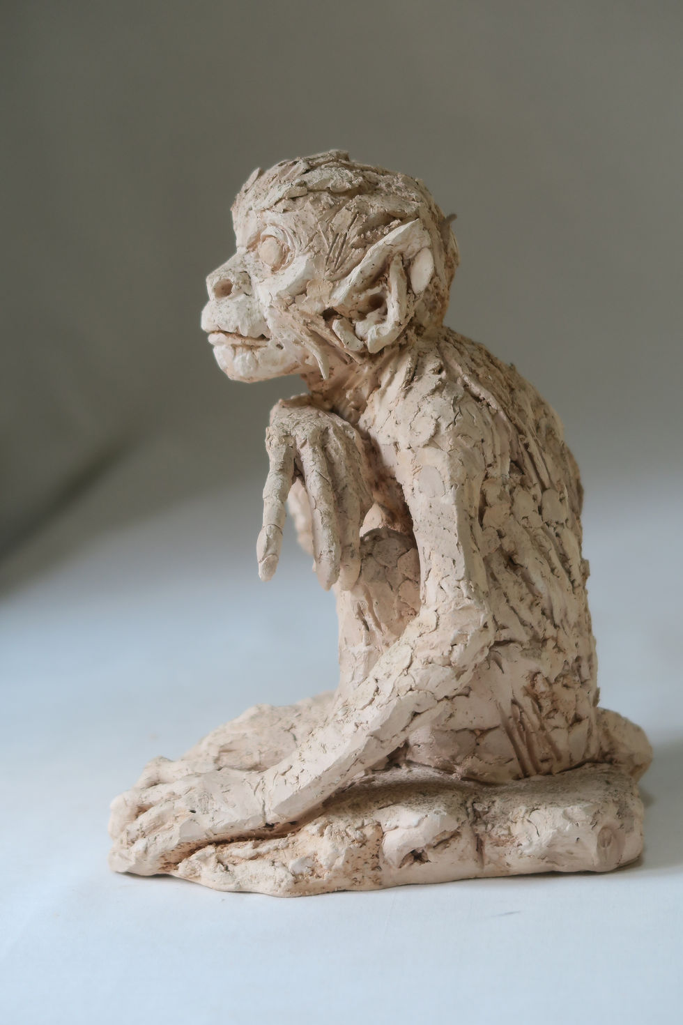 Thumbnail: Spider Monkey