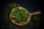 VEGAN DISHES