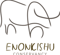 Enonkishu-conservancy