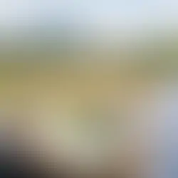Grundstück entwickeln vor Verkauf - lohnt es sich?