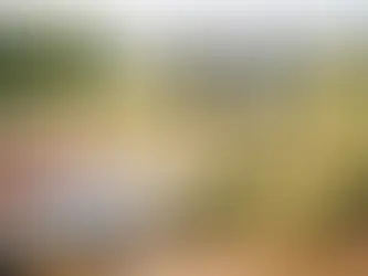 Grundstück verkaufen: Den besten Preis erzielen