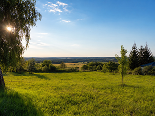 Brandenburg Grundstück, Sonnige grüne Wiese mit Bäumen, Blick über Felder und Hügel unter blauem Himmel; ruhige ländliche Landschaft.