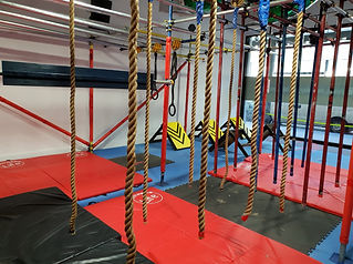 Rope junction and quad steps.jpeg