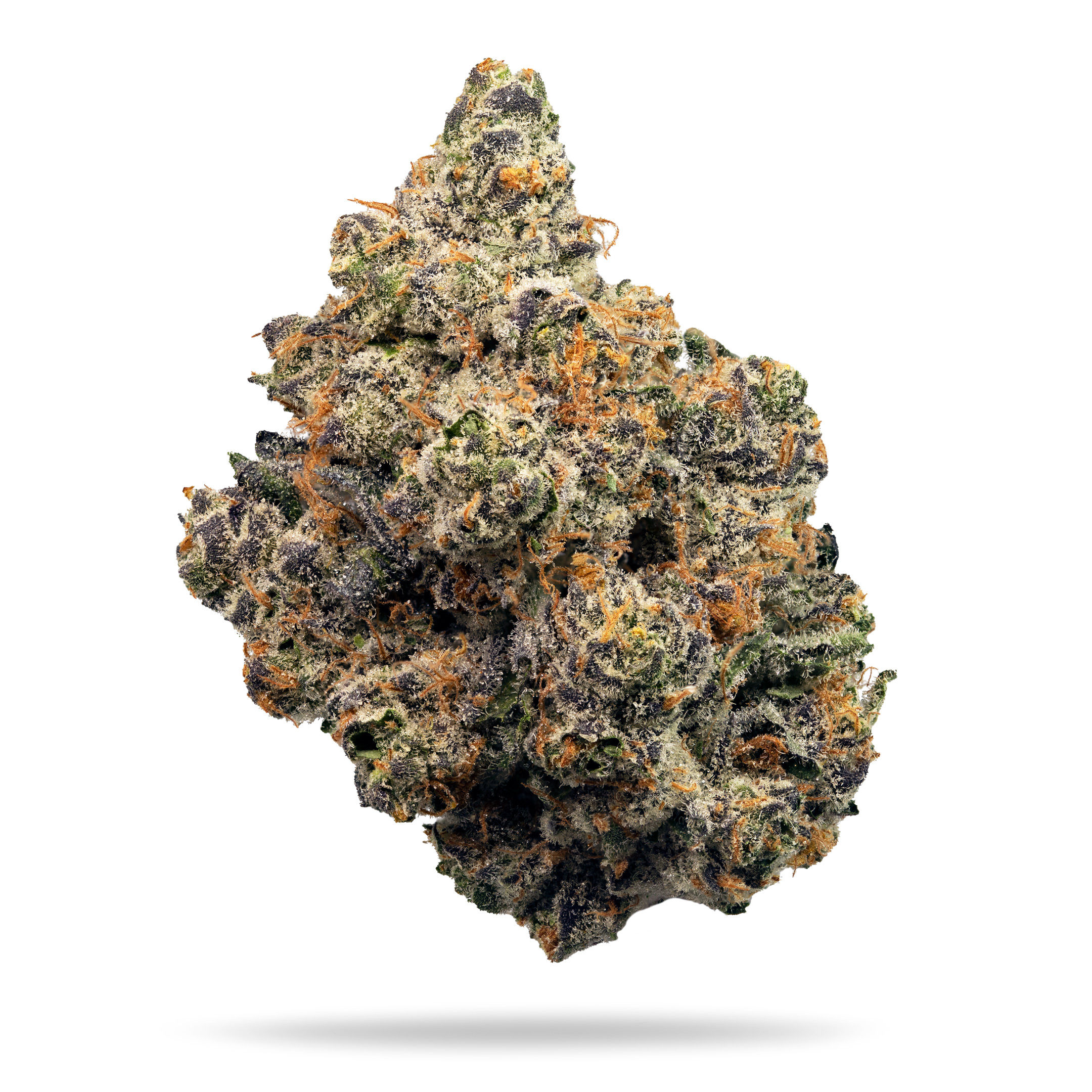 Zkittles x Grape Pie -Craft-