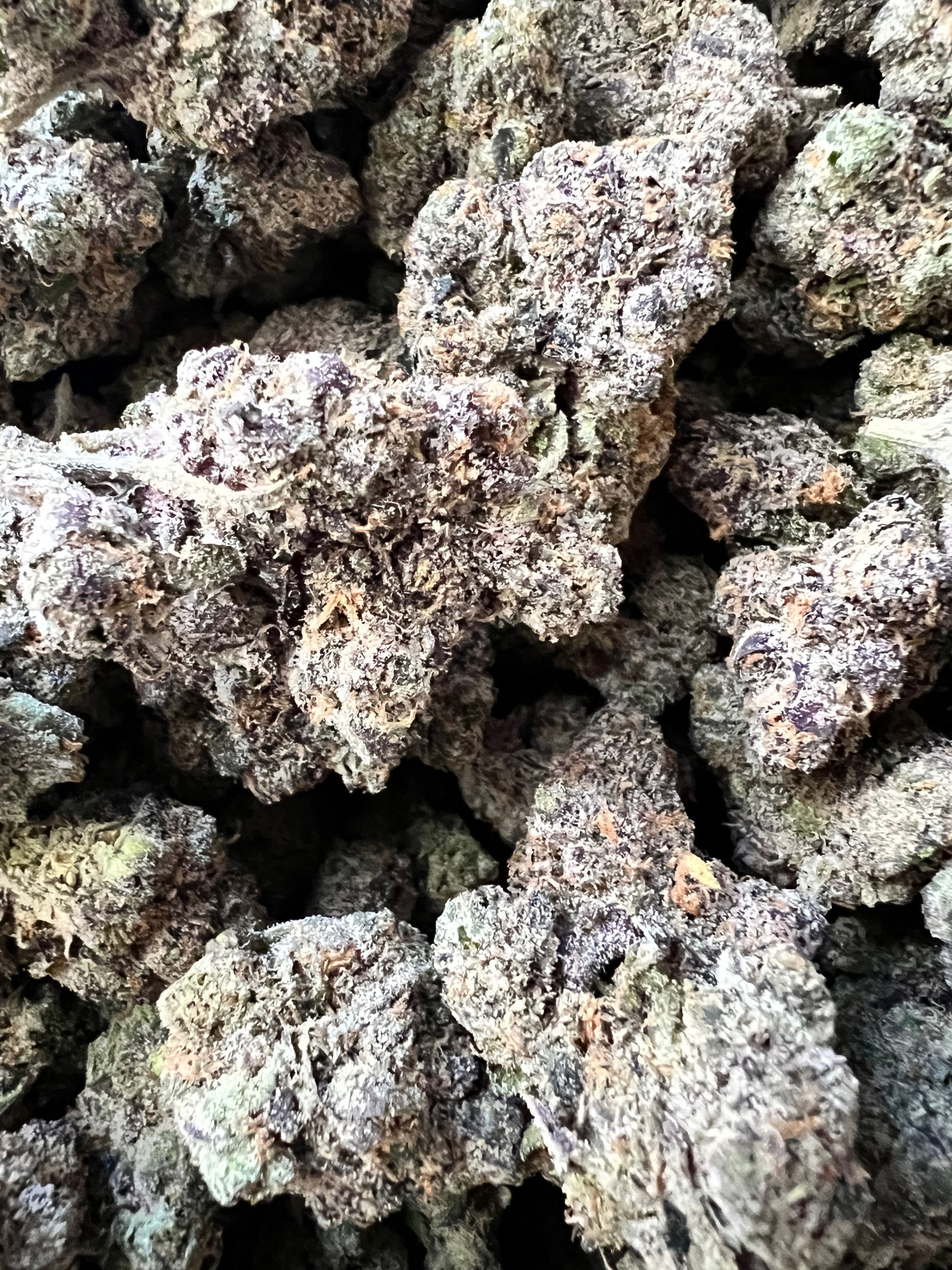 RUNTZ -SUPREME CRAFT- $320 oz Wednesday Special $200 oz!!!