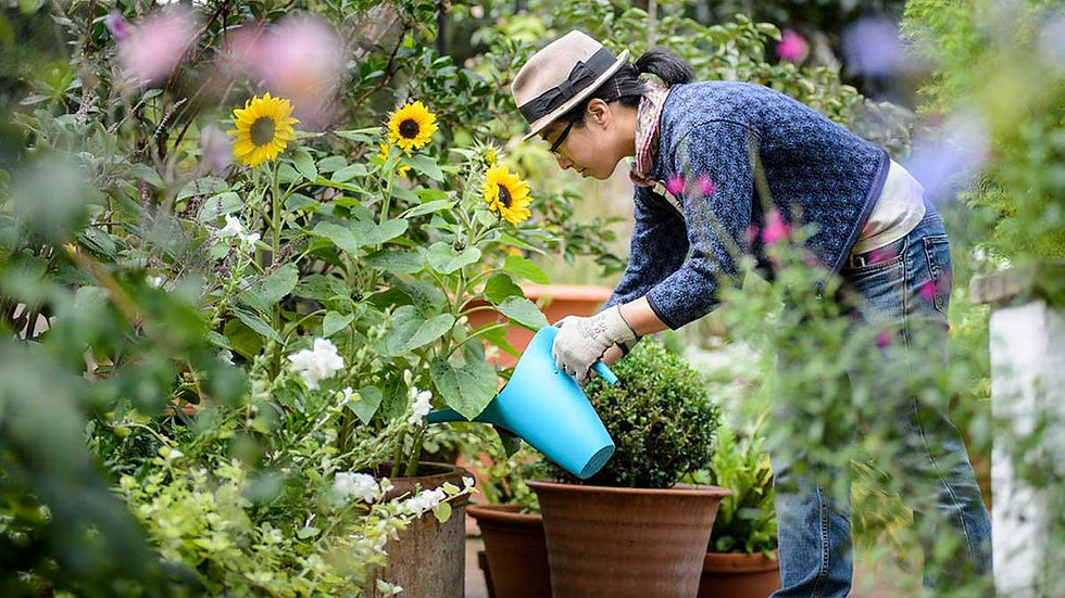 watering-garden-1200x675