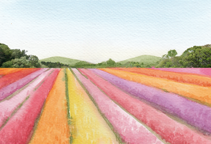 Instructed painting class - Colorful Fields w/Honey