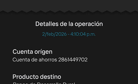 Ejemplo Boleta.jpg