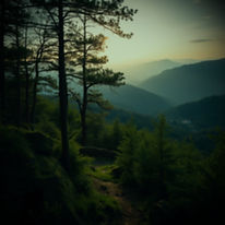 Wide, cinematic landscape of Vermont__Use imagery like___green mountains or forest trails