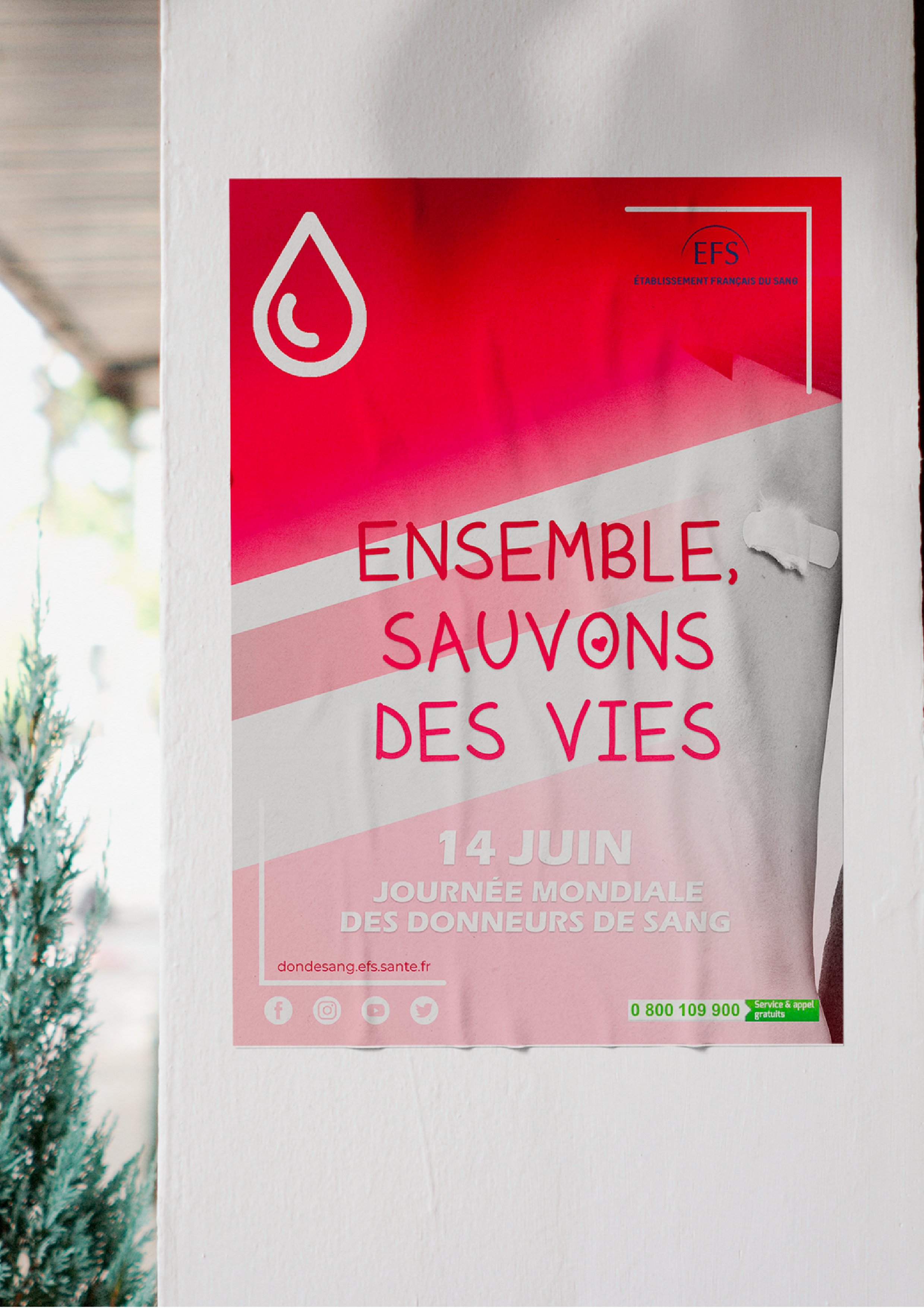 Projet EFS - Création graphique affiche