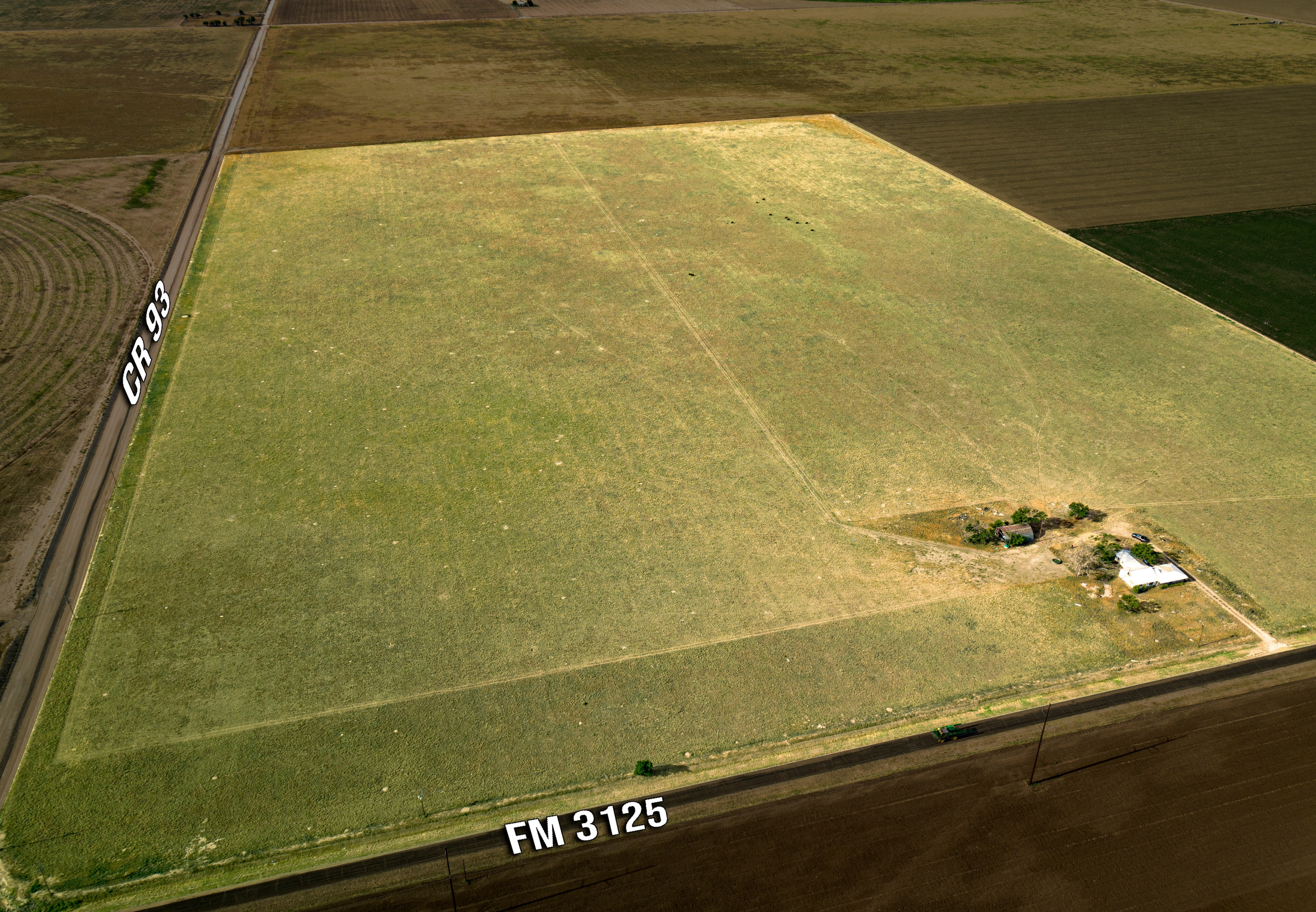 Bailey County Grassland For Sale